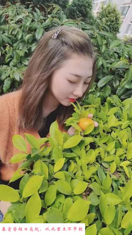 黄埔小佩奇 第2张