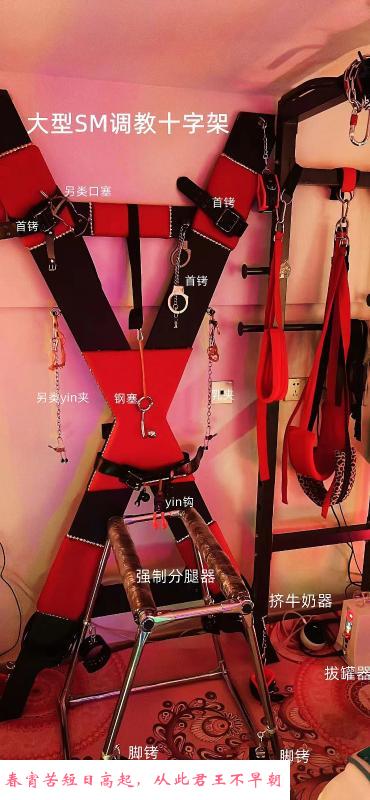 老凤金文静 第2张