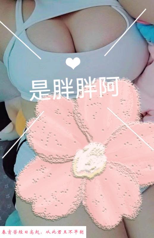 宝安bbw40H大奶 第2张