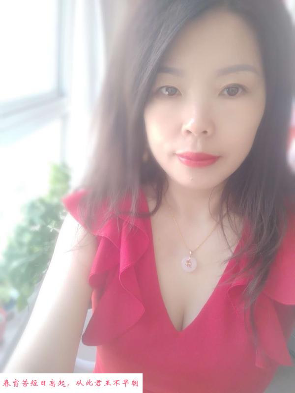 双井淑女少妇 第1张