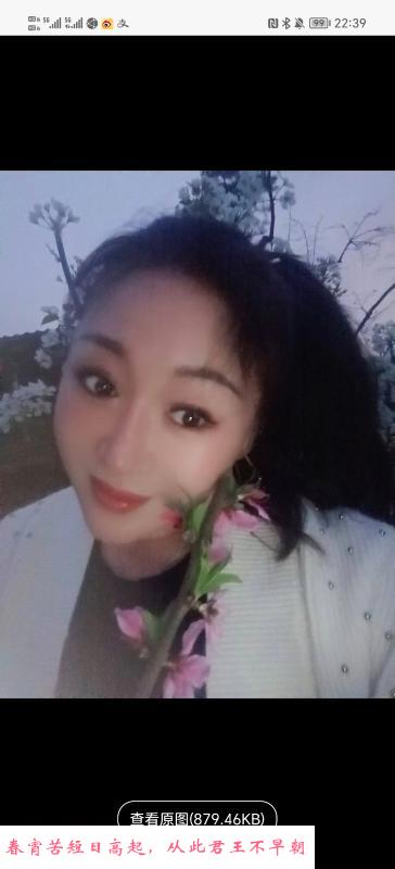 西大街丽丽 第1张
