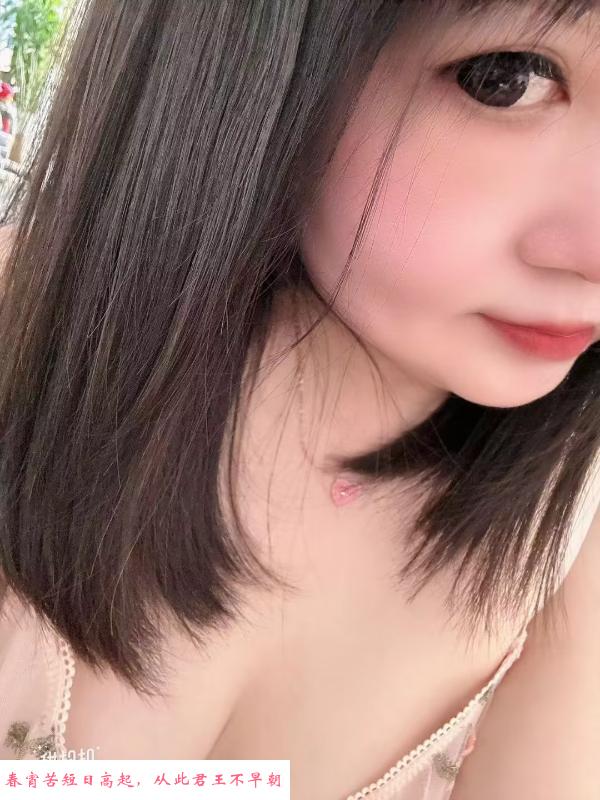 丰满白胖小坦克 第1张