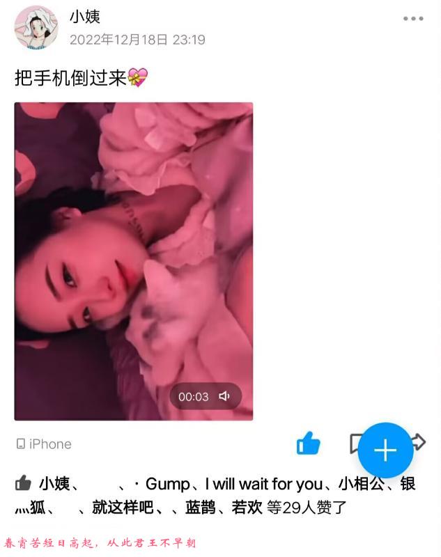 哈尔滨二刷小姨 第1张