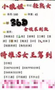 梦想城小狼姐SM 第3张