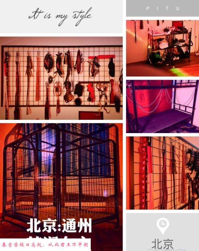 通州女王S调教 第1张