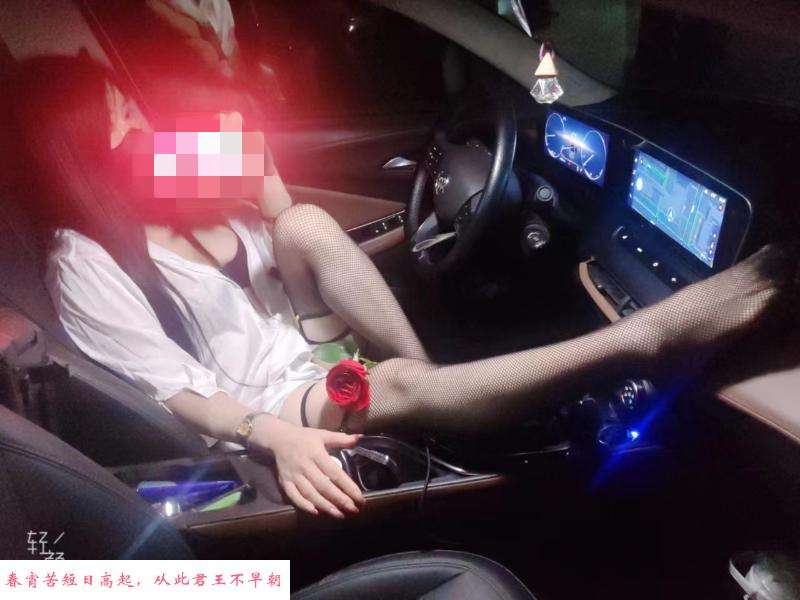 车震玫瑰黑丝袜 第3张