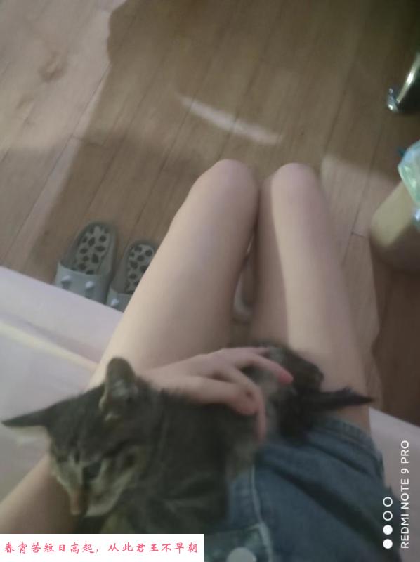 管城可爱小妹 第1张