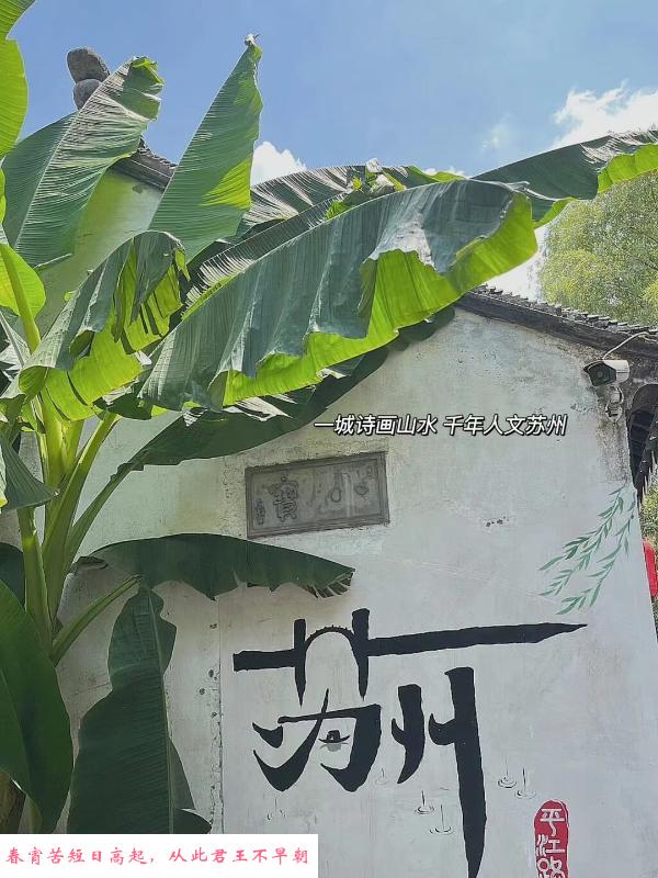 园区少妇 第3张
