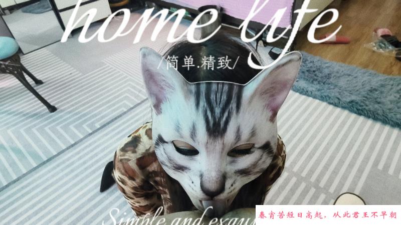 玩弄小母猫 第1张