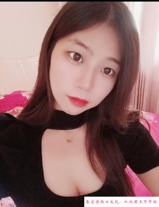 长安鱼儿 第1张