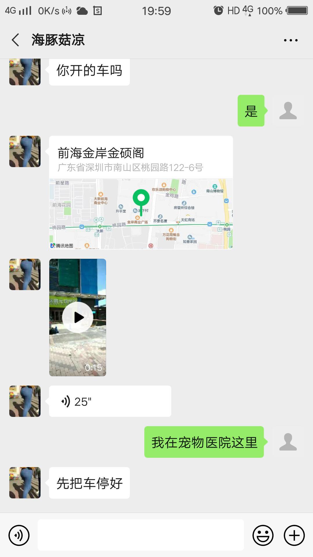 验证南山超大臀海豚 第3张